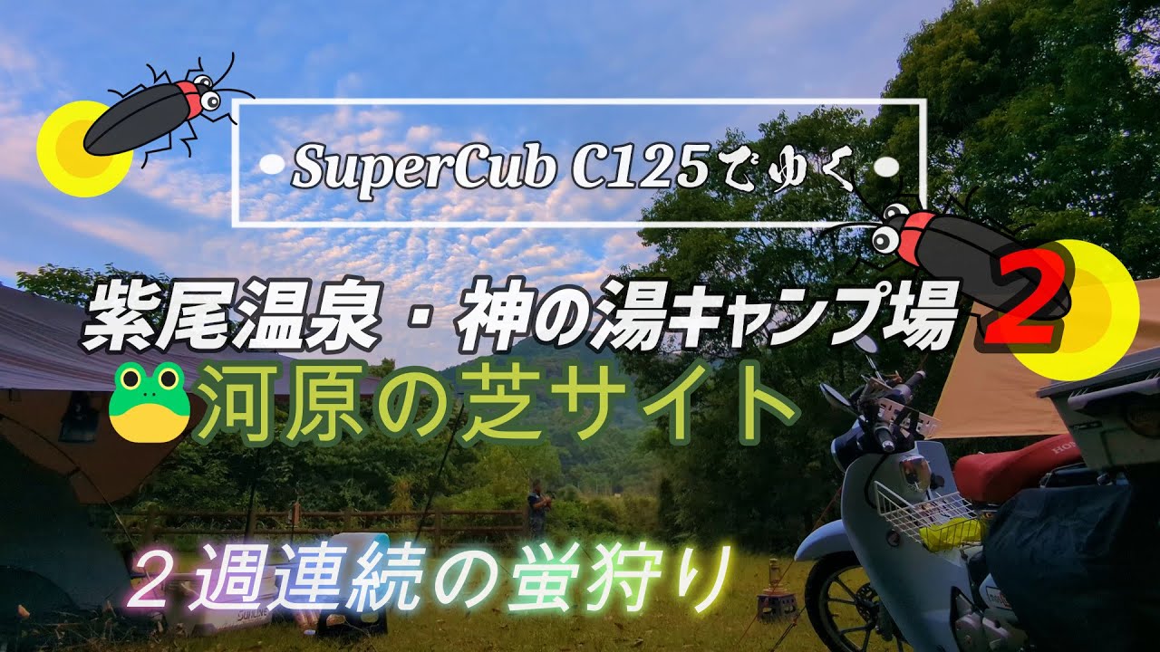 SuperCub C125でゆく「２週連続!!神の湯キャンプ場」貸切！河原サイトで蛍狩り