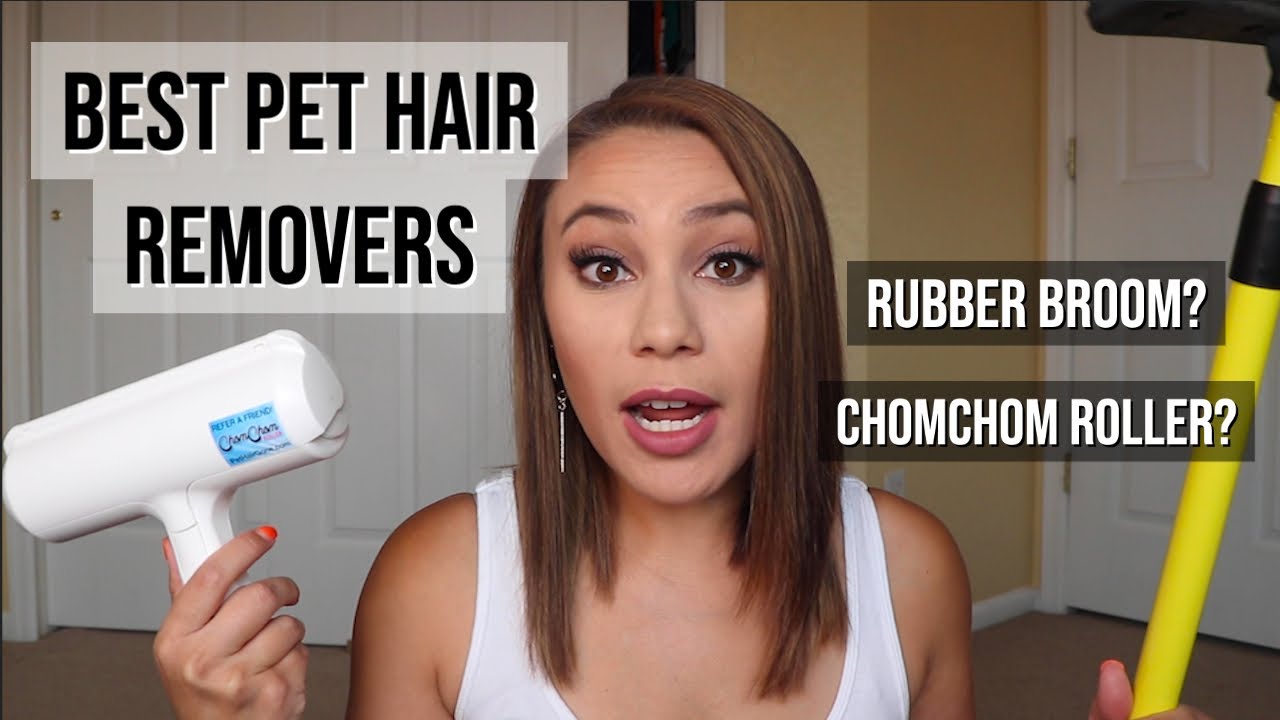 Best pet hair removers YouTube
