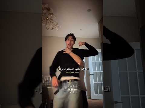 اغنية Pitpull Terrier مترجمه Tiktok اكسبلور اقنباسات Trending Bts Edit Lyrics ترند Fyppppp