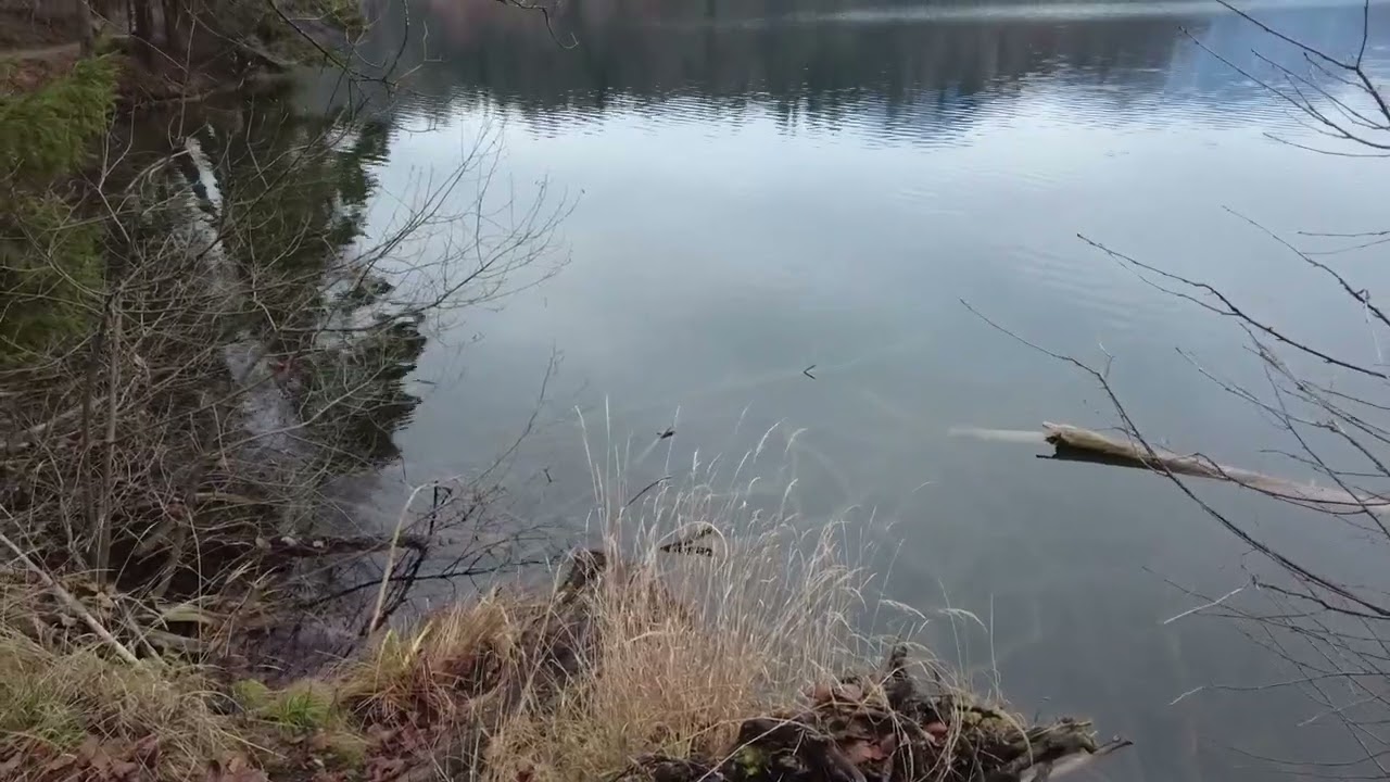 Runde um den Hechtsee vom Kieferbach