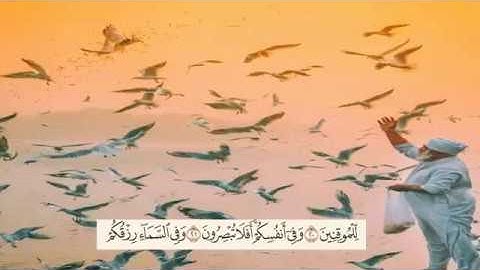 قرآن كريم بصوت القارئ: ياسر الدوسري || أجمل حالات واتس اب دينيه || تلاوة خاشعة 🖤💙 HD