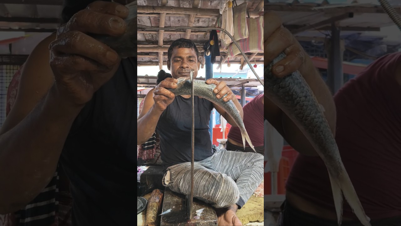 Fish Cutting Mastery with Elisha!