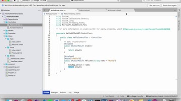 C# Hello ASP.NET Part 7: Dynamic Views