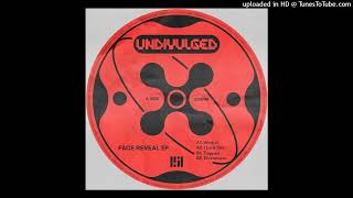 Undivulged - Work It!
