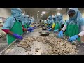 Vlog1  seafood processing  export  hari marine  international market shrimp