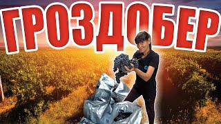 картинка: Гроздобер и домашно вино🍷