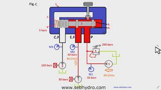 Limiteur hydraulique de débit bidirectionnel 3/4 type RD