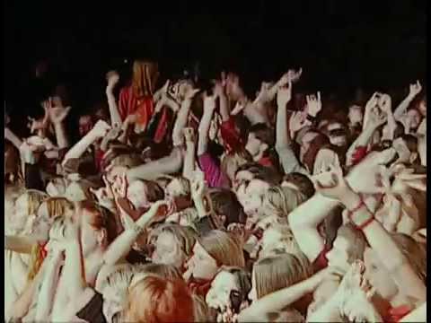 Звери Районы кварталы