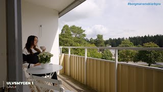 Ulvsmygen 1