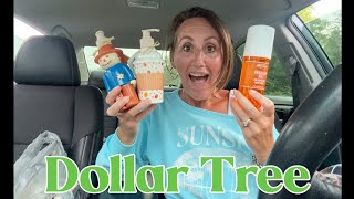HOLY MOLY! DOLLAR TREE HAUL | Everything is NEW!