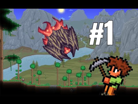 best minion calamity mod terraria best minion calamity mod terraria