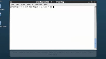 Oracle Data Guard 11g - Overview Logical Standby Database
