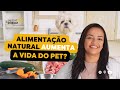 RAÇÕES SÃO ULTRAPROCESSADAS? - Rafaela de Souza