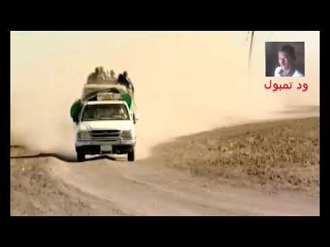 ﻣﻄﺎﺭﺩﻩ ﻣﻬﺮﺑﻴﻦ ﻓﻲ العشاب ريفي تمبول 