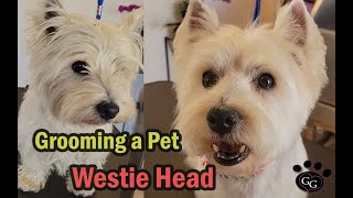 Grooming a Pet Westie Head (with Tipped Ears)  West Highland White Terrier Groom  Gina's Grooming