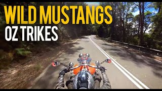 OZ TRIKES - WILD MUSTANGS