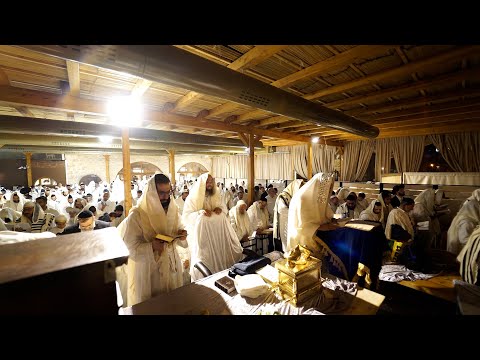 הגאון הינוקא - יום כיפור תשפ"ד - תיעוד שמחת מוצאי החג וברית קודש לפני כל נדרי | The Yanuka