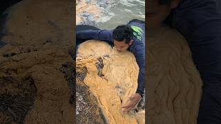 The process of finding gold | finding gold in bedrock fragments | finding gold nuggets worth $2500