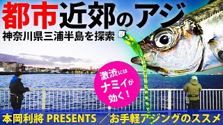 三浦半島アジング調査／都市近郊のお手軽釣り場・三浦半島を満喫