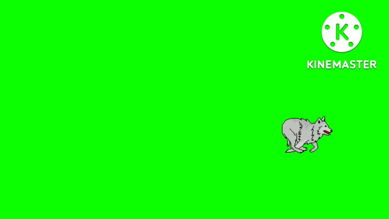 Green screen cartoon,green screen animal video,copyright free green screen ,green screen