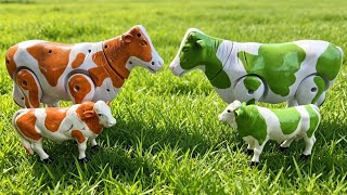 FINDING FUNNY COWS, COLORFUL COWS, CARTOON COWS, DANCING COWS, GRANDONG COWS, QURBAN COWS, MOO COWS