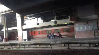 176車次自強號往瑞芳通過樹林站+436次Hello Kitty太魯閣待發(晚6分鐘)