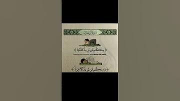 ترتيل آيات من سورة آل عمران🌷