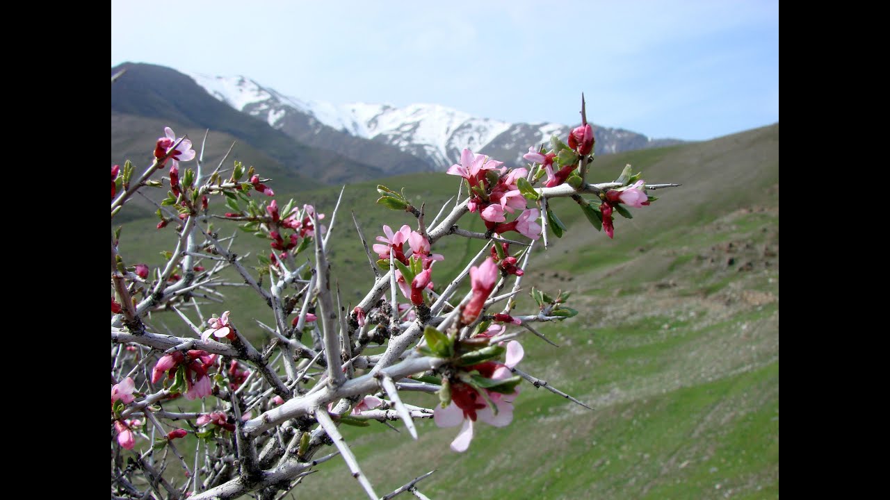 Джизак- Заамин в Узбекистане.... - YouTube
