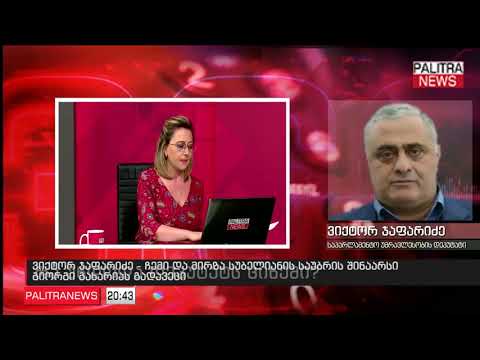 ვიქტორ ჯაფარიძე - ჩემი და მირზა სუბელიანის საუბრის შინაარსი გიორგი გახარიას გადავეცი