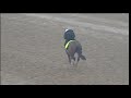 Normandy Invasion gallops at Churchill Downs 4.24.13