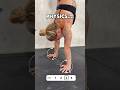 Centre of mass over supporting base, base big easier, base small harder. From headstand to oahs.