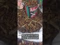 الشعب الجزائري يأكل الجراد والحشرات 