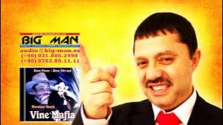 NICOLAE GUTA - Fratele Meu (HIT)