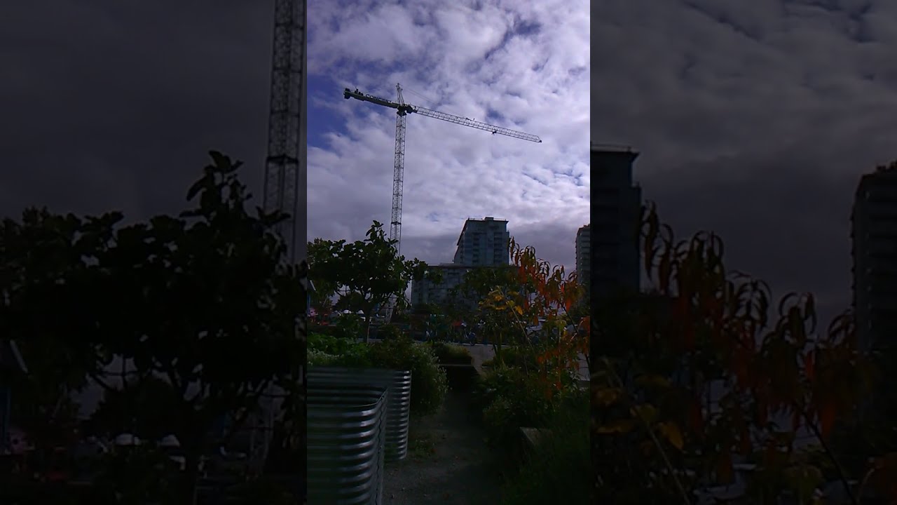 grow vegetables,learn videoswww.topdoctor.yolasite.com Dr Julie rao ...