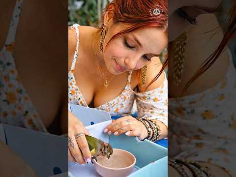 10 People Who Rescued Animals Away from the Spotlight 😲 Part 7