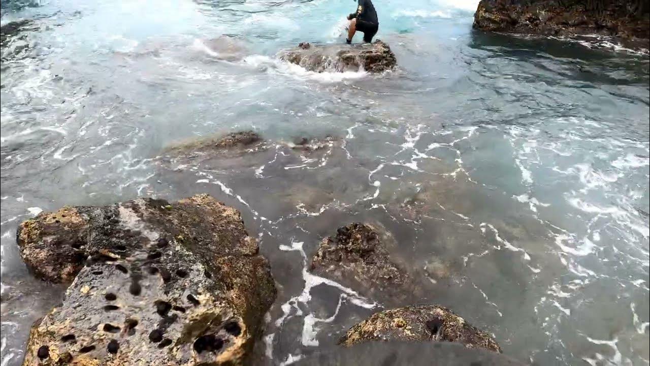 Throw Net Hawaii Wade YouTube