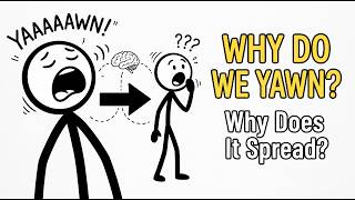 Why do we yawn, and why does seeing someone yawn make you yawn too?