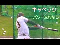 【巨人】トレイ・キャベッジ選手　エリエ・ヘルナンデス選手　フリーバッティング　宮崎春季キャンプ3日目　2025年2月3日