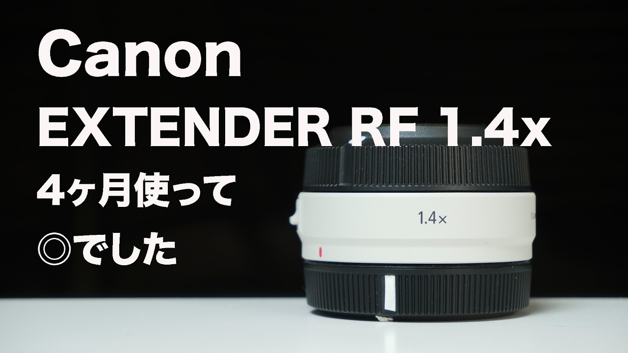 My impressions after using the Canon EXTENDER RF 1.4x for 4 months