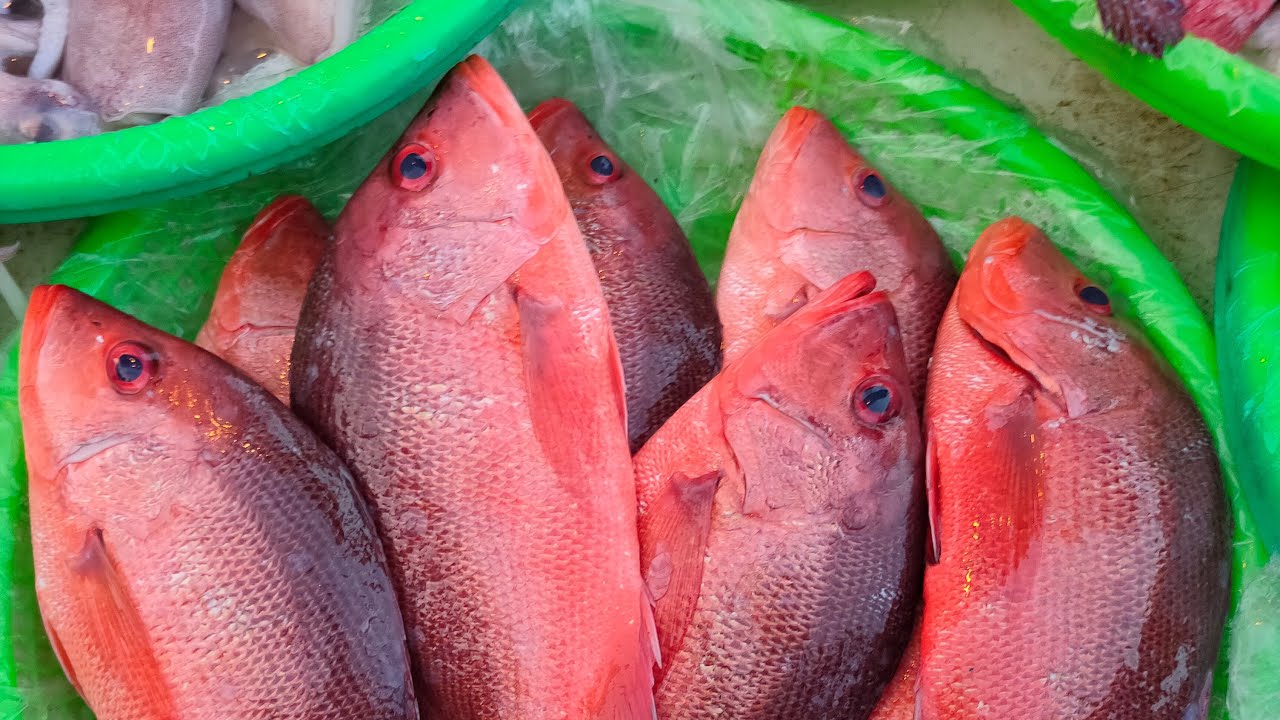 年前最後一場~海師傅海鮮叫賣 南投市育樂路120號 南投果菜市場門口