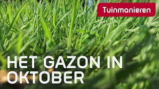Download Lagu Wat te doen met het gazon in oktober? | Tuinmanieren MP3 Download Lagu Wat te doen met het gazon in oktober? | Tuinmanieren MP3