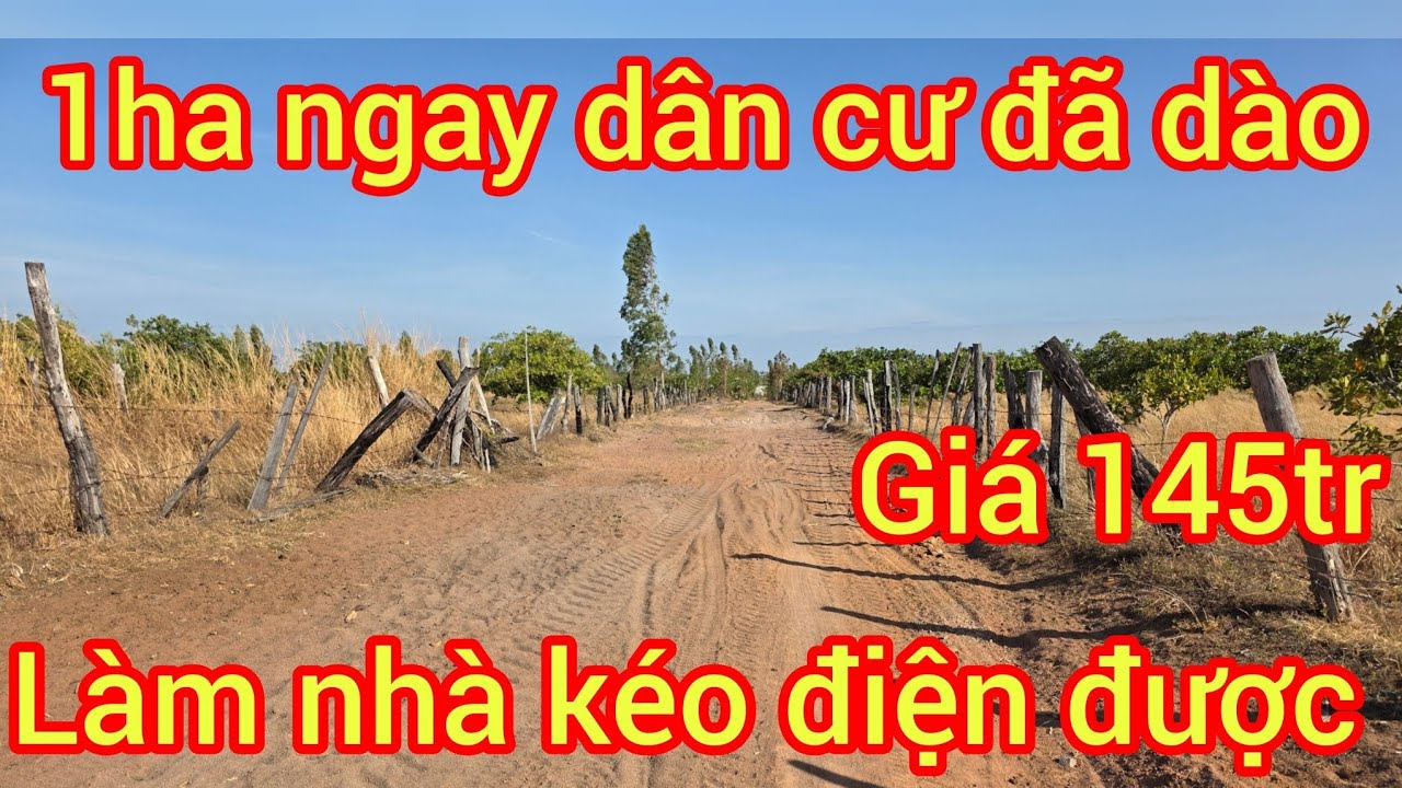 Bác nào quan tâm alô cách dân 200met