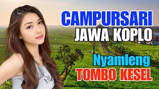 1 Jam  Cdanursari Dangdut Jawa Koplo Terbaru 2025 Bass Empuk Tombo Kesel Nyamleng Tenan