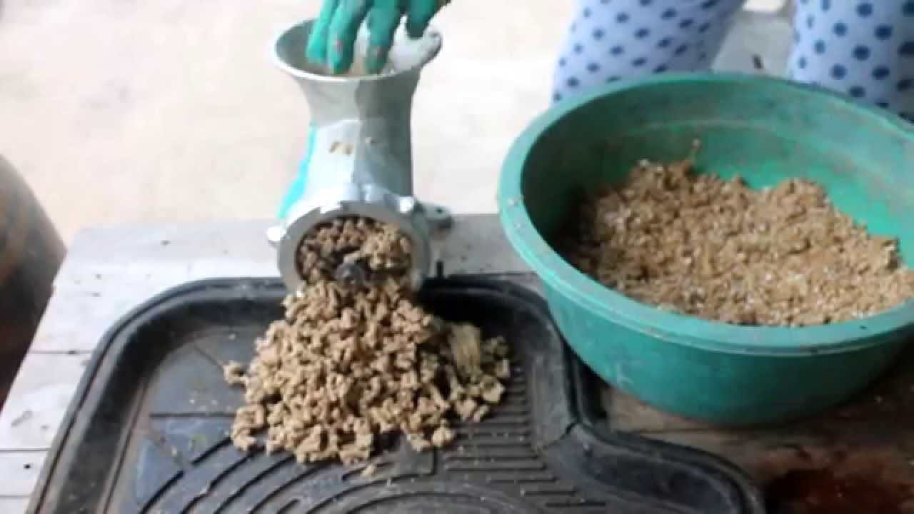 ทำอาหารเลี้ยงปลาใช้เอง(DIY fish food ) YouTube