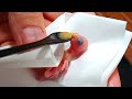 生後1日目の雛へのさし餌/セキセイインコの雛/Twitterで合計22万回再生された動画のまとめ