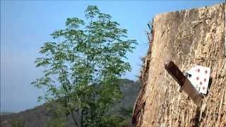 Knife Throwing Game "Hostage" - Epic Blade Time screenshot 4