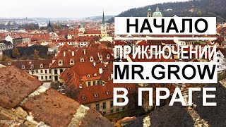 Влог: Сколько стоит ужин в ПРАГЕ | Рум тур по номеру / Mr.GrowChannel