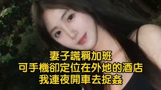 妻子謊稱加班，可手機卻定位在外地的酒店，我連夜開車去捉姦