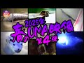 【映像】2025年 春のUMA映像 第4弾