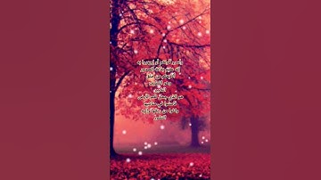 سورة الملك للقارئ سفيان البسكري تلاوه هادئ